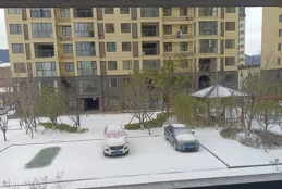 湖北犟驢打工人，主打一個地滑不吱聲