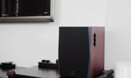 客廳音箱是買一套家庭影院一勞永逸還是分開電視音響和聽歌音響？