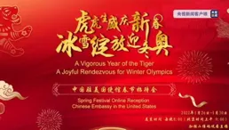 中國駐多國使領館舉行新春招待會