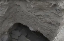 10個流傳了很久的謊言，一直到現在還有很多的人相信這些謊言