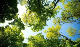 對於景區內的野生動物的野蠻行為你害怕了嗎？文明欣賞不一樣的美