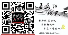 2024央視春晚年品融入旬邑剪紙元素
