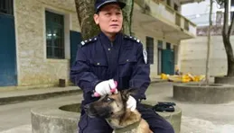 警察叔叔出警救回70多只小奶狗