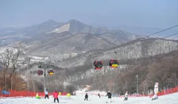 （體育）全民健身——滑雪過大年