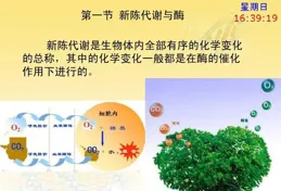 怎樣提高皮膚代謝能力？