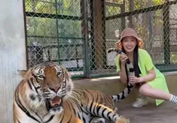 勇敢女孩泰國冒險：泰拳對決、與老虎互動，她的勇氣令人驚嘆！
