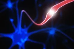 雙縫幹涉實驗說明了什麽？