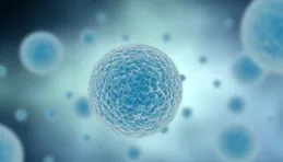 有能真正殺菌的內衣褲洗衣機嗎？大家推薦下，謝謝？