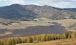 有什麽關於感恩的唯美句子！？