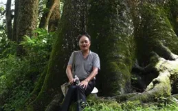 老人種出稀缺的金絲楠，五年長出就能金絲，一年能賺一個億