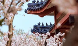 生肖馬：宿命狂歡！好訊息如潮水般洶湧，你是幸運的終極收割者！