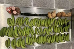 隨身攜帶香蕉91只！你是猴子請來的吧？