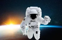 美國扔在月球上的96袋紙尿褲，半世紀後，成為了野生「實驗室」