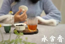 春節請客喝茶，怎麽才顯得自己比較專業？老茶客教你5點技巧