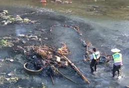 從「又黑又臭」到「清澈見底」，東莞這條河是如何做到的？