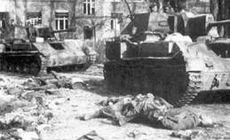 達瓦裏希！你設計的自行火炮有問題，史達林同誌決定送你去前線