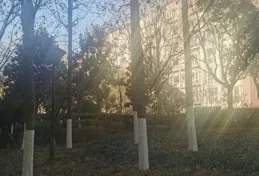 東、西方裹腳布有優點嗎？為何部份沙俄、蘇聯軍隊以此代替襪子？