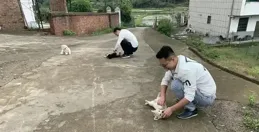 笑不活了！年初二回娘家，新女婿統一操作樂翻了 網友評論區吐槽