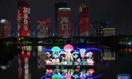 錦繡中國年｜流光溢彩中國年