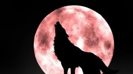 天狗是什麽？為什麽會有天狗吞月的現象