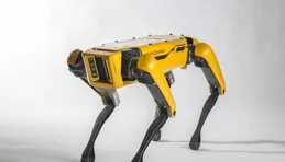 川潤股份：2月20日高管羅麗華增持股份合計41萬股