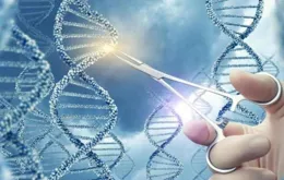 生物技術的突破：基因編輯技術的前景與風險