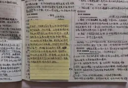 西南大學套用心理學專碩就業方向有哪些?