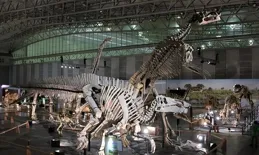 你的老家有龍麽？我老家可有啊！