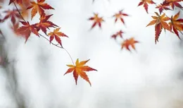 寫給正在虧損的散戶：不懂如何把握買賣點?吃透