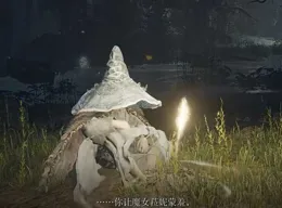 為什麽安裏和菈妮同樣有結婚儀式，但安裏的二創遠少於菈妮?