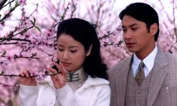 如何評價林心如的長相？