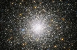 Ai能否能作為一個觀察者存在？