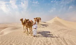 卡達有哪些令人印象深刻的自然人文景觀？