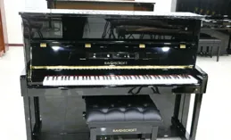 艾茉森鋼琴哪個系列品質好？對比指南助您明智選擇