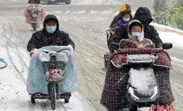 安徽一對姐弟雪中騎鴕鳥出行，父親：它負重達200斤