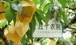 想買一台洗地機，高價效比洗地機推薦哪個牌子？