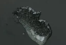 有哪些靠譜的化妝水和精華值得推薦？