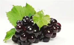 「啥也不想幹」，其實是身體給你最好的訊號