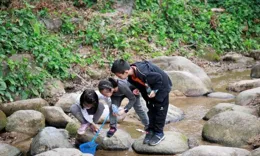 體會大自然的力量，多多進行戶外活動，促進身心健康？