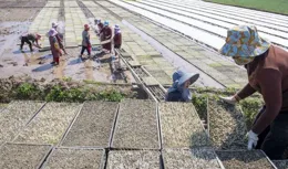 春耕生產正當時