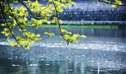 歷史的塵埃——清明節的肅穆與生機