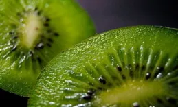 怎樣快速瘦腿？