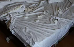 看【明偵】時有哪些小細節讓你喜歡或討厭一位明星？