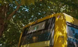 再論「停車坐愛楓林晚」