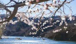 因為寒食，才有清明