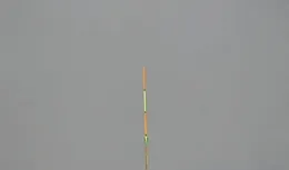 初春釣魚，怎麽才能調釣出銷魂頓口？並且要求「空槍」率極低