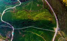 「春影」（268） | 上遊主題攝影征稿作品展——胡波作品