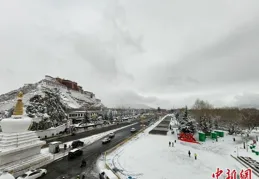 「打一針修復心臟療法」臨床試驗暫停，受試者出現嚴重不良反應