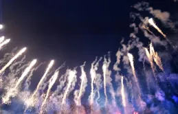 兩只不合群的母雞，每天結伴外出覓食、一起回雞窩產蛋