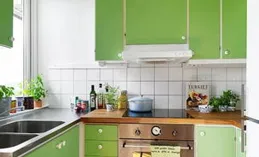 清新綠色風潮：探秘「薄荷曼波」和「綠門」搭派別